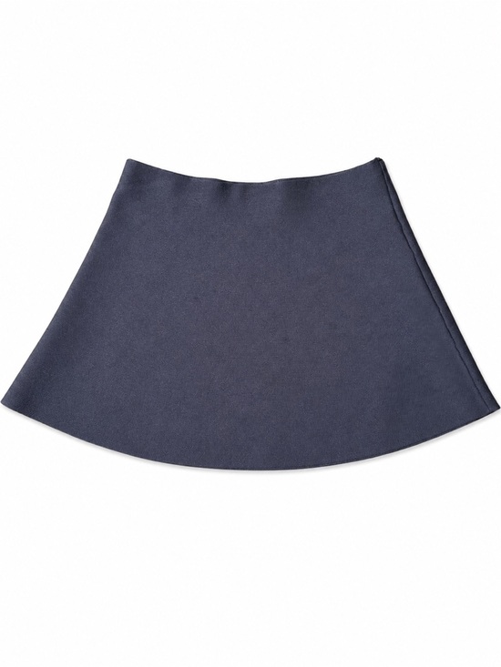 Zara Dresses & Skirts - Zara Navy Circle Skater Mini Skirt